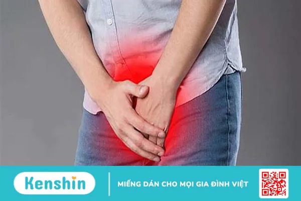 Dây hãm bao quy đầu là gì? Chức năng và các tổn thương thường gặp