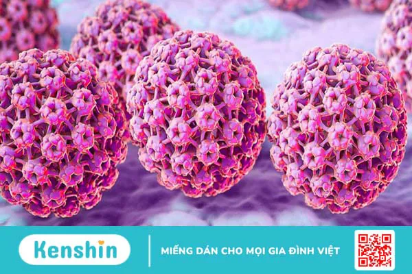 Điểm danh các loại virus gây ung thư thường gặp nhất