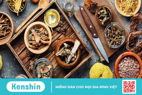 Điểm danh top 6 cây dược liệu có nhiều lợi ích cho sức khỏe con người