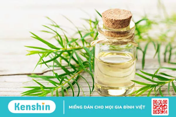 Điểm danh top 6 cây dược liệu có nhiều lợi ích cho sức khỏe con người 3