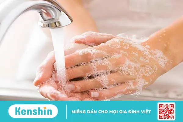 Động vật cắn phải làm sao? Cách sơ cứu khi động vật cắn