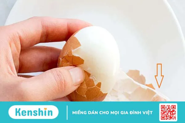 Eggshell Membrane là gì? Đặc điểm và công dụng