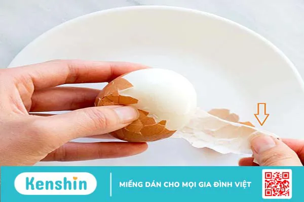 Eggshell Membrane là gì? Đặc điểm và công dụng? 1