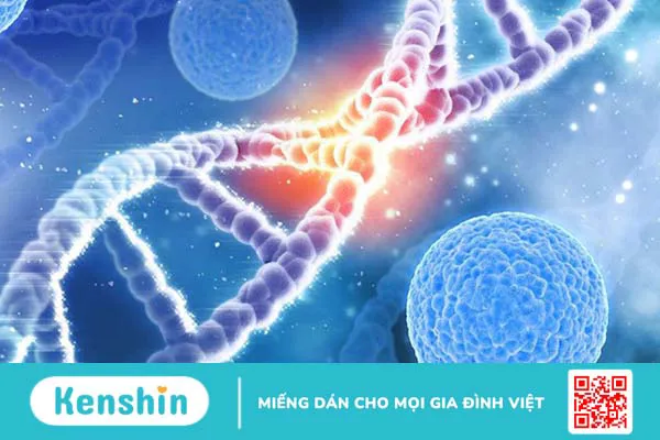 Ex Vivo là gì? Những thông tin về nuôi cấy ngoại cơ thể 1