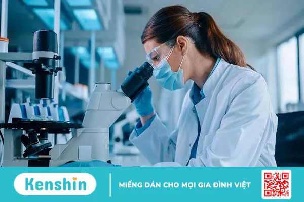 Ex Vivo là gì? Những thông tin về nuôi cấy ngoại cơ thể 2