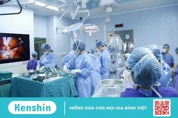 Ex Vivo là gì? Những thông tin về nuôi cấy ngoại cơ thể 3