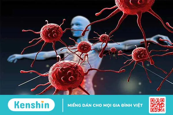 Ex Vivo là gì? Những thông tin về nuôi cấy ngoại cơ thể 4