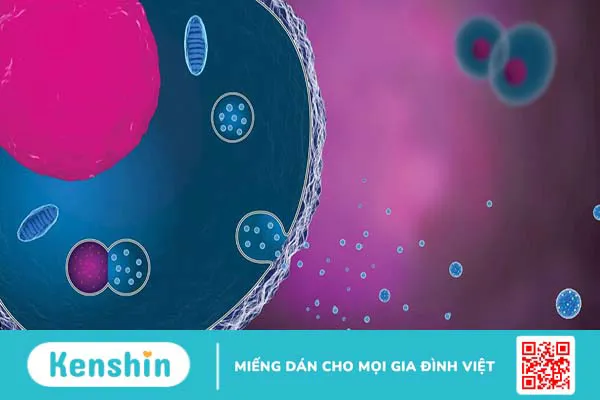 Exosome là gì? Giải pháp tiềm năng giúp trẻ hóa làn da