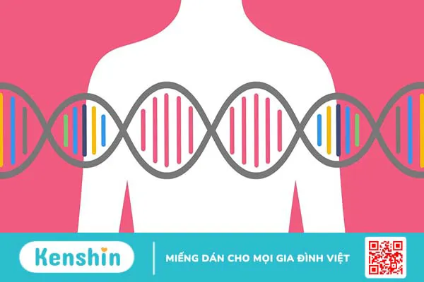 Gen BRCA là gì? Gen BRCA có liên quan gì đến bệnh ung thư vú và các cơ quan khác?