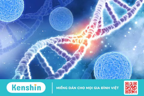 Gen BRCA là gì? Gen BRCA có liên quan gì đến bệnh ung thư vú và các cơ quan khác?