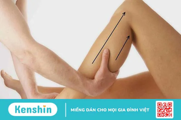 Giải đáp thắc mắc: Bắp chân to có cao được không?