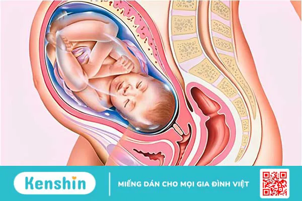 Giải đáp: Thai 38 tuần nặng bao nhiêu là đúng chuẩn?