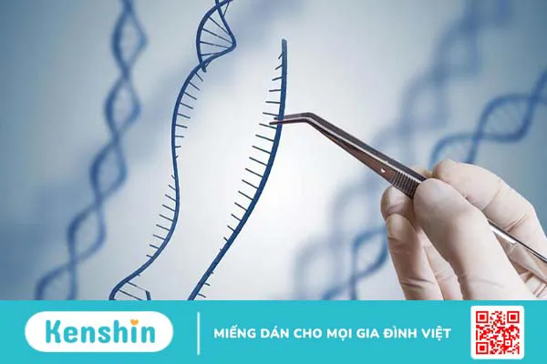 Giải đáp: Tro cốt có xét nghiệm ADN được không?