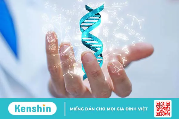 Giải đáp: Tro cốt có xét nghiệm ADN được không?