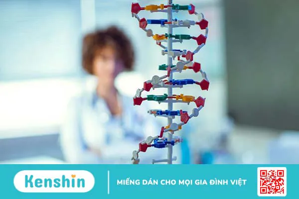 Giải đáp: Tro cốt có xét nghiệm ADN được không?