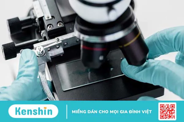 Giải phẫu bệnh là gì? Các xét nghiệm giải phẫu bệnh thường gặp