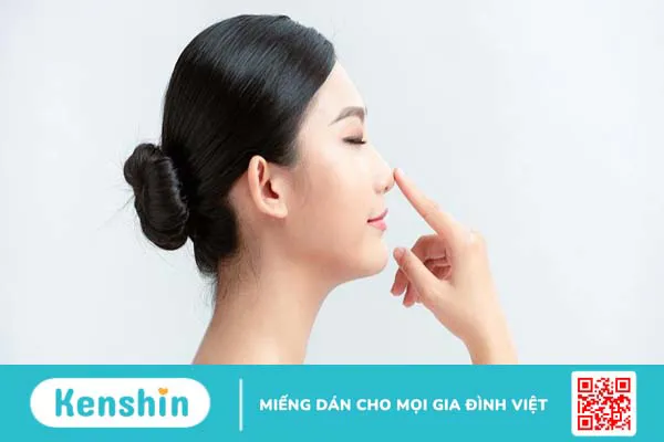 Giải phẫu cấu tạo mũi và chức năng cơ bản của mũi