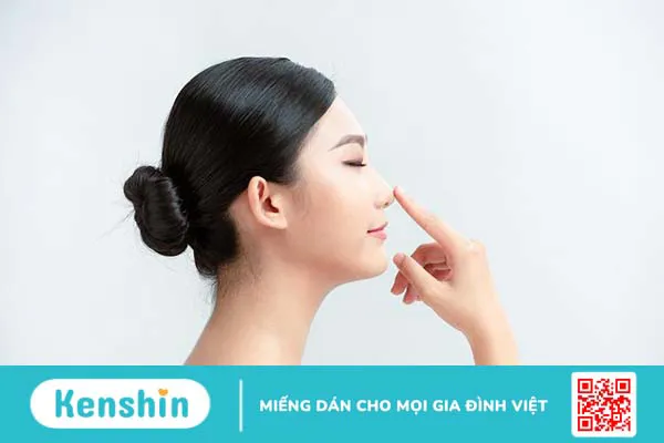 Giải phẫu cấu tạo mũi 3