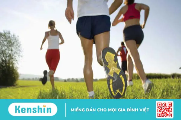 Giải phẫu cơ khớp háng và những bệnh lý thường gặp