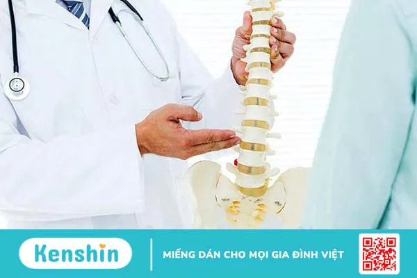 Giải phẫu cơ khớp háng và những bệnh lý thường gặp