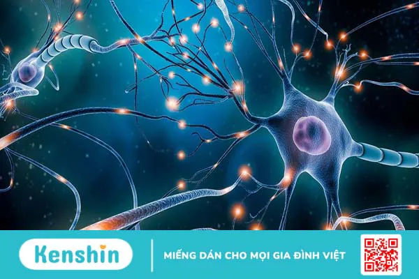 Bệnh di truyền hiếm gặp: Giãn mao mạch bẩm sinh xuất huyết 5