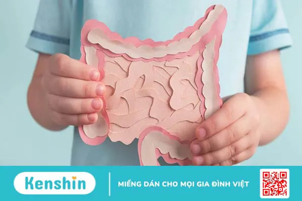 Giúp trẻ giảm triệu chứng khó chịu do rối loạn tiêu hóa với Bioamicus Complete