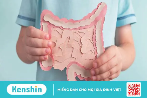 Giúp trẻ giảm triệu chứng khó chịu do rối loạn tiêu hóa với Bioamicus Complete