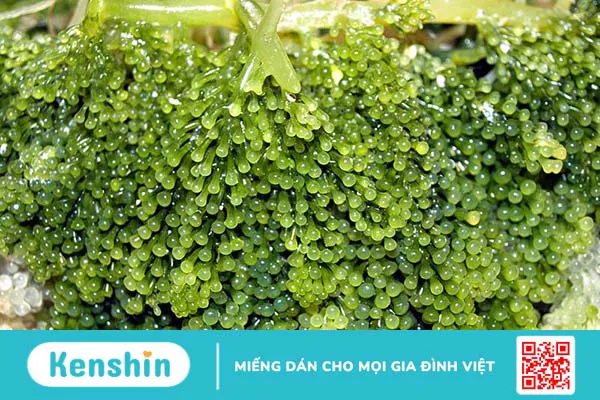 Gợi ý những món ăn tốt cho người bị bướu cổ và cách thực hiện