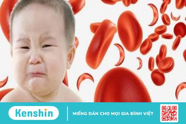 Gợi ý thực phẩm xây dựng thực đơn cho trẻ thiếu máu