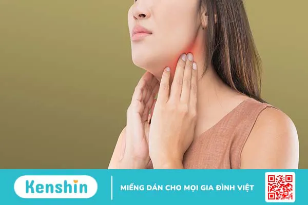 Hạch bạch huyết là gì? Chức năng của hạch bạch huyết trong hệ miễn dịch