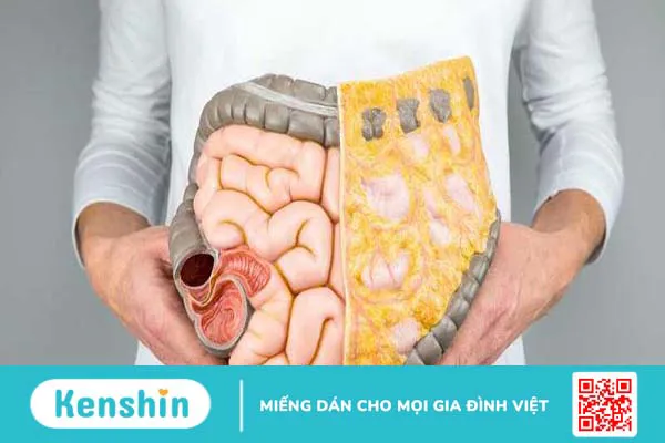 Hậu môn bình thường có cấu tạo và chức năng như thế nào?