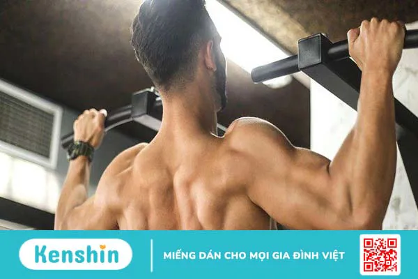 Hệ thống cơ và vai trò của cơ đối với cơ thể người