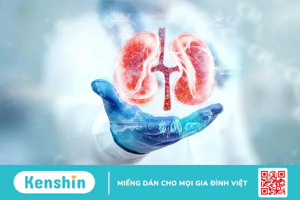 Hiện tượng giãn đài bể thận bẩm sinh ở thai nhi có nguy hiểm không?  1