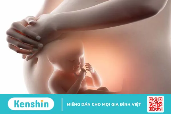 Hiện tượng giãn đài bể thận bẩm sinh ở thai nhi có nguy hiểm không?  3