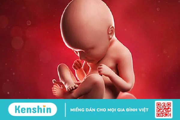 Hiện tượng thai máy 3 tháng đầu: Những điều mẹ bầu cần biết