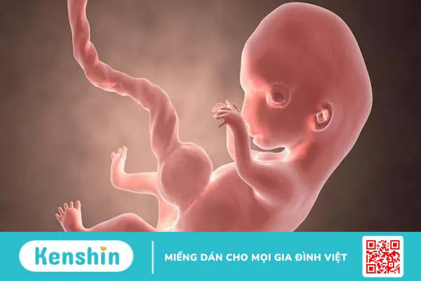 Hiện tượng thai máy 3 tháng đầu: Những điều mẹ bầu cần biết