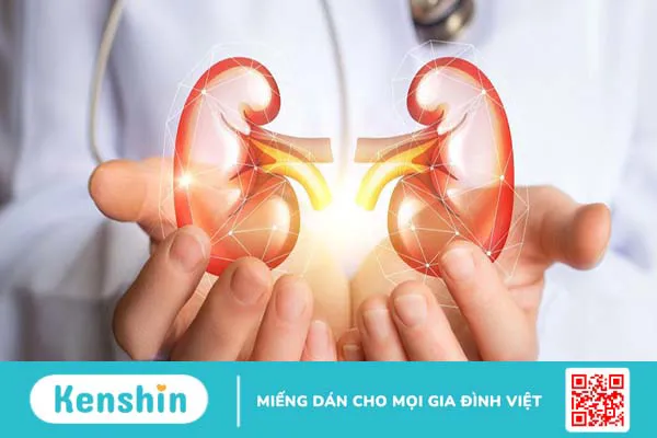 Hội chứng Zinner: Triệu chứng, nguyên nhân và cách phòng ngừa