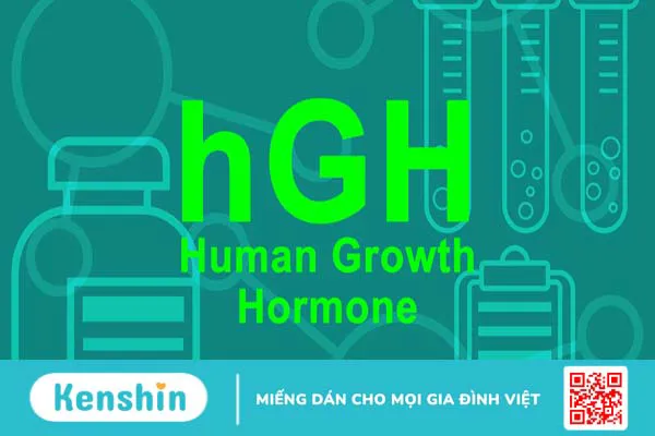 Hormone tăng trưởng là gì? Phương pháp kích thích hormone tăng trưởng tự nhiên