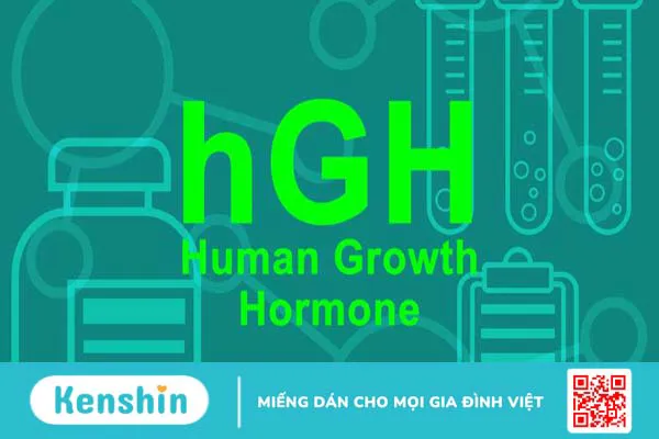 Hormone tăng trưởng là gì? Phương pháp kích thích hormone tăng trưởng tự nhiên