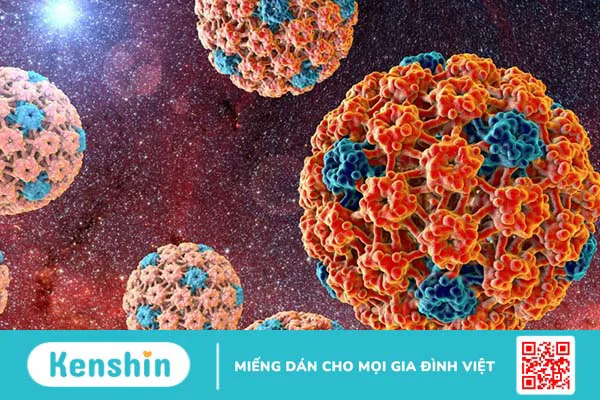 HPV 31 là gì? Cách phòng ngừa virus HPV type 31