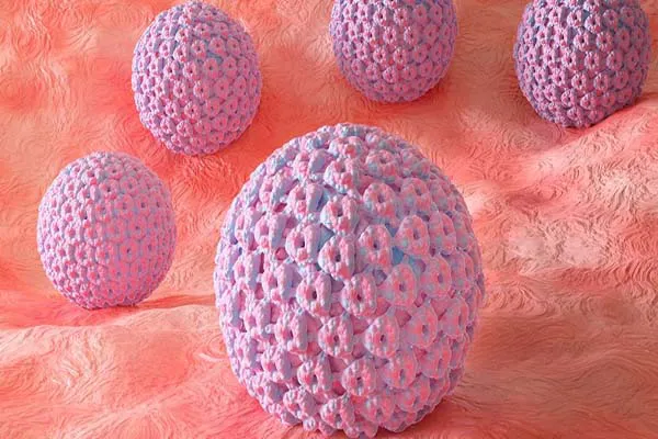 HPV 33 có nguy hiểm không? Cách phòng ngừa virus HPV