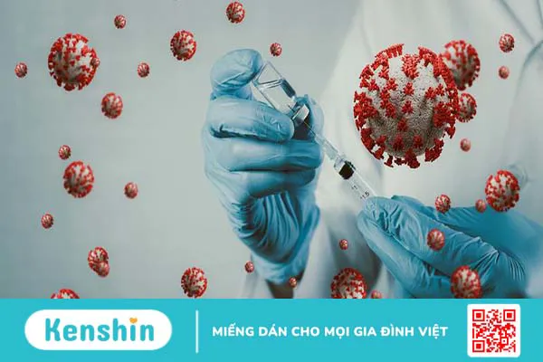 HPV 33 có nguy hiểm không? Cách phòng ngừa virus HPV