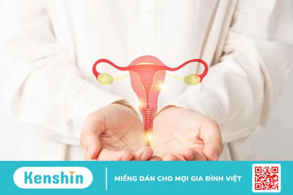 HPV 33 có nguy hiểm không? Cách phòng ngừa virus HPV