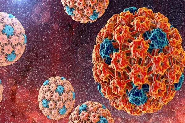 HPV 35 là gì? Cách phát hiện sớm và phòng ngừa virus HPV