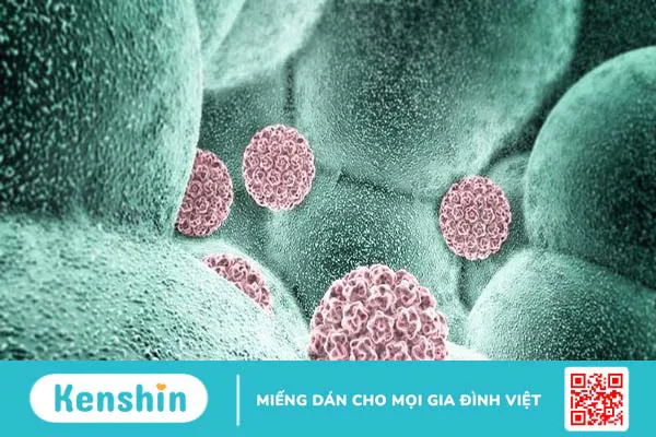 HPV 35 là gì? Cách phát hiện sớm và phòng ngừa virus HPV