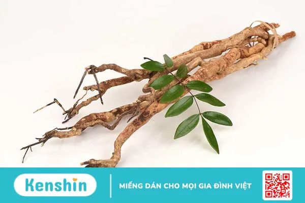 Hướng dẫn 5 bài thuốc ngâm rượu tăng cường sinh lý đơn giản và hiệu quả nhất 2