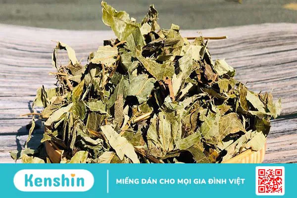 Hướng dẫn 5 bài thuốc ngâm rượu tăng cường sinh lý đơn giản và hiệu quả nhất 3