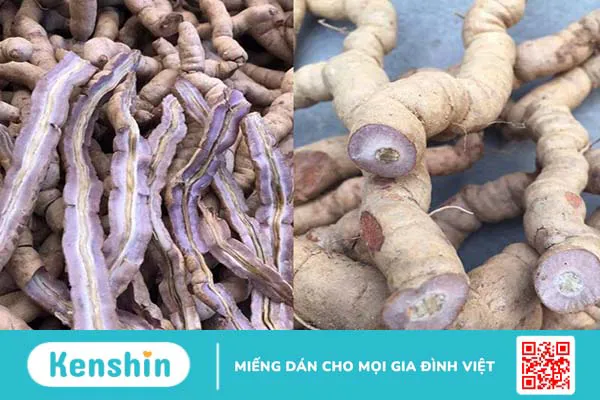 Hướng dẫn 5 bài thuốc ngâm rượu tăng cường sinh lý đơn giản và hiệu quả nhất 4