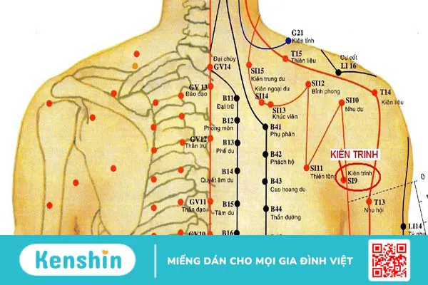 Hướng dẫn cách bấm huyệt Kiên Trinh chính xác nhất