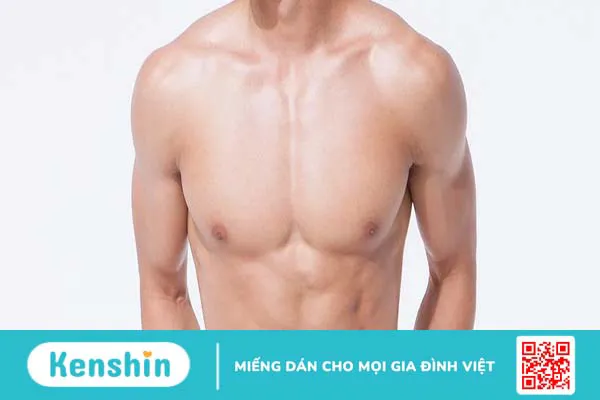 Hướng dẫn thực hành Chest Machine Press đúng cách